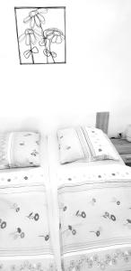 Gallery image of Apartment Bjanka in Pakoštane