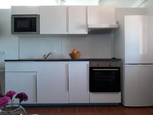 Kuchyň nebo kuchyňský kout v ubytování Loft La Tahonilla
