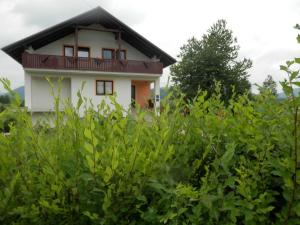 Zahrada ubytování Guesthouse Matija