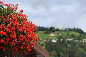 A garden outside Hotel Mirabell