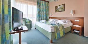 Habitación de hotel con cama y TV de pantalla plana. en Wellness Hotel Happy Star en Hnanice