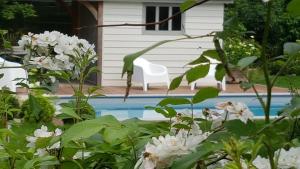 a garden with white flowers in front of a pool at Le Chanteclair in Gembloux