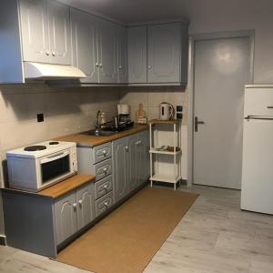 Kuchyň nebo kuchyňský kout v ubytování NIKOLETA'S CORFU APARTMENTS