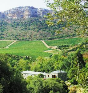 ein Bauernhof inmitten eines Tals mit einem Berg in der Unterkunft Casa-Albina-Corsica in Patrimonio