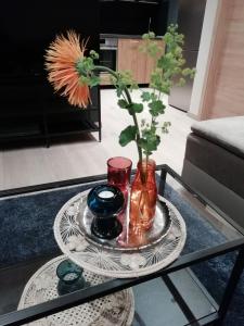 a glass coffee table with a vase on top of it at Apartment Bad Homburg in Bad Homburg vor der Höhe