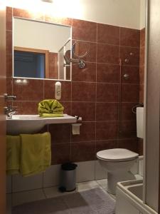 a bathroom with a toilet and a sink and a mirror at Appartements Antunovic in Povljana