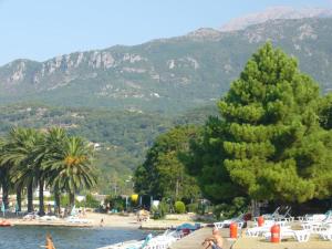 a beach with palm trees and a body of water at Apartment Jelaca in Herceg-Novi