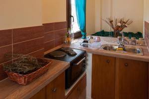 A kitchen or kitchenette at Ellinas Homes