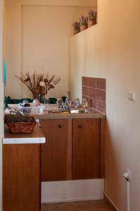 A kitchen or kitchenette at Ellinas Homes