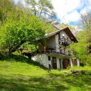 ein Haus an der Seite eines Hügels mit Bäumen in der Unterkunft Secret Mountain Retreat Valle Cannobina (for nature Lovers only) in Orasso