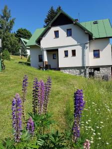 una casa in cima a una collina con fiori viola di U Kobrů a Špindlerův Mlýn