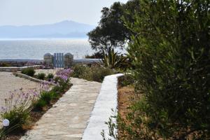 a stone path next to the ocean with flowers at Ambelas Mare Apartments in Ambelas