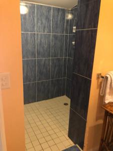 a bathroom with a shower with a tiled floor at Calypso Inn Wilton Gay Male Resort in Fort Lauderdale