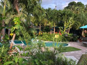 The swimming pool at or close to Calypso Inn Wilton Gay Male Resort