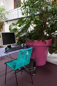 Aed väljaspool majutusasutust B&B HOTEL Aurillac Le Lioran