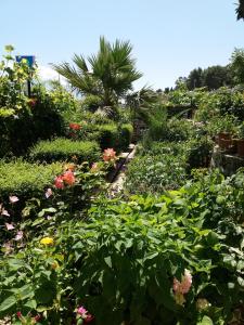 a garden with flowers and plants at Qiqi Hotel in Gjirokastër