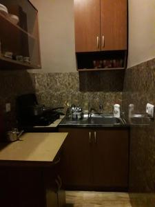 Kuchyň nebo kuchyňský kout v ubytování White Guest House