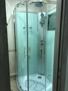 エイスクにあるGuest House on Eniseyskayaのバスルーム(ガラス張りのシャワー付)が備わります。