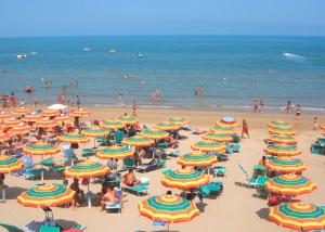 ชายหาดของเซอร์วิสอพาร์ตเมนต์หรือชายหาดที่อยู่ใกล้ ๆ