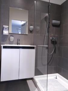 a bathroom with a shower and a sink and a mirror at Le Golfe in Figari