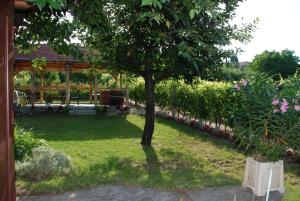 Vonkajšia záhrada v ubytovaní Panoráma Apartmanház