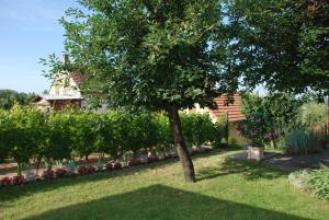 Vonkajšia záhrada v ubytovaní Panoráma Apartmanház