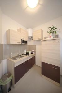 A kitchen or kitchenette at Apartment Luci