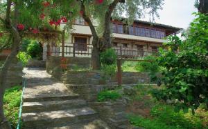 a house with a tree and stairs in front of it at Guesthouse Apanemia in Afissos +21 photos