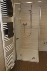 a shower with a glass door in a bathroom at Altes -Haus in Gattendorf