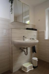 a bathroom with a sink and a mirror at Altes -Haus in Gattendorf +30 photos