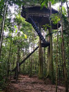 a large wooden structure with a rope attached to it at Reserva Natural Tanimboca in Leticia