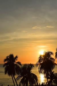 a group of palm trees on the beach at sunset at Santa Marta Apartamentos - Palanoa in Santa Marta