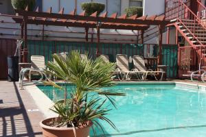 a swimming pool with chairs and a palm tree next to it at Days Inn by Wyndham Victorville in Victorville +9 photos