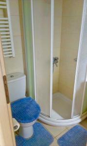 a bathroom with a shower and a toilet with blue mats at Rossi apartment in Hersonissos