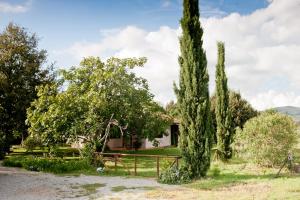 a house with trees and a fence at Agriturismo Sicomoro in Capalbio