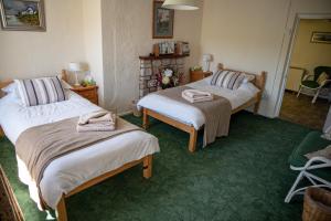 two beds in a room with green carpet at Brentor Self-catering in Brentor