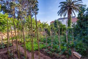 Fotografie z fotogalerie ubytování Apartments Beba v destinaci Mali Lošinj