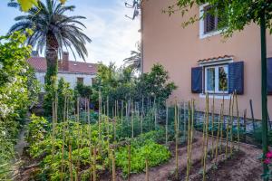 Fotografie z fotogalerie ubytování Apartments Beba v destinaci Mali Lošinj