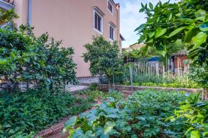 Fotografie z fotogalerie ubytování Apartments Beba v destinaci Mali Lošinj