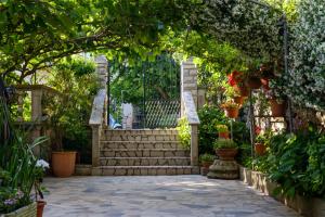Fotografie z fotogalerie ubytování Apartments Beba v destinaci Mali Lošinj