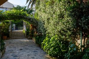 Fotografie z fotogalerie ubytování Apartments Beba v destinaci Mali Lošinj