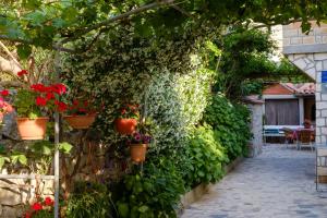 Fotografie z fotogalerie ubytování Apartments Beba v destinaci Mali Lošinj