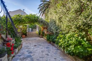 Fotografie z fotogalerie ubytování Apartments Beba v destinaci Mali Lošinj