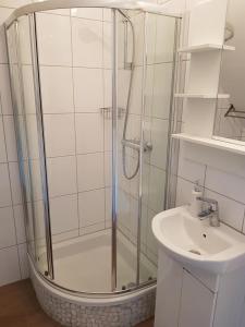 a bathroom with a shower and a sink at Agroturystyka u Barana in Sosnówka