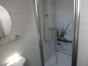 ein Bad mit einer Dusche, einem Waschbecken und einem Spiegel in der Unterkunft Gasthof zur Querenburg in Hannoversch Münden