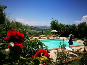 The swimming pool at or close to Agriturismo Casale Dei Frontini
