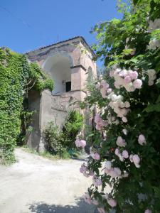 a stone building with a doorway and pink roses at Gaiano Apt in Sorrento