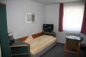 TV a/nebo společenská místnost v ubytování Akzent Hotel Goldener Ochsen