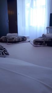 Fotografia z galérie ubytovania Apartman Marina City Center v destinácii Senj