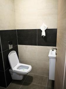 łazienka z toaletą i umywalką w obiekcie MATE Apartmanok w Tiszaújváros